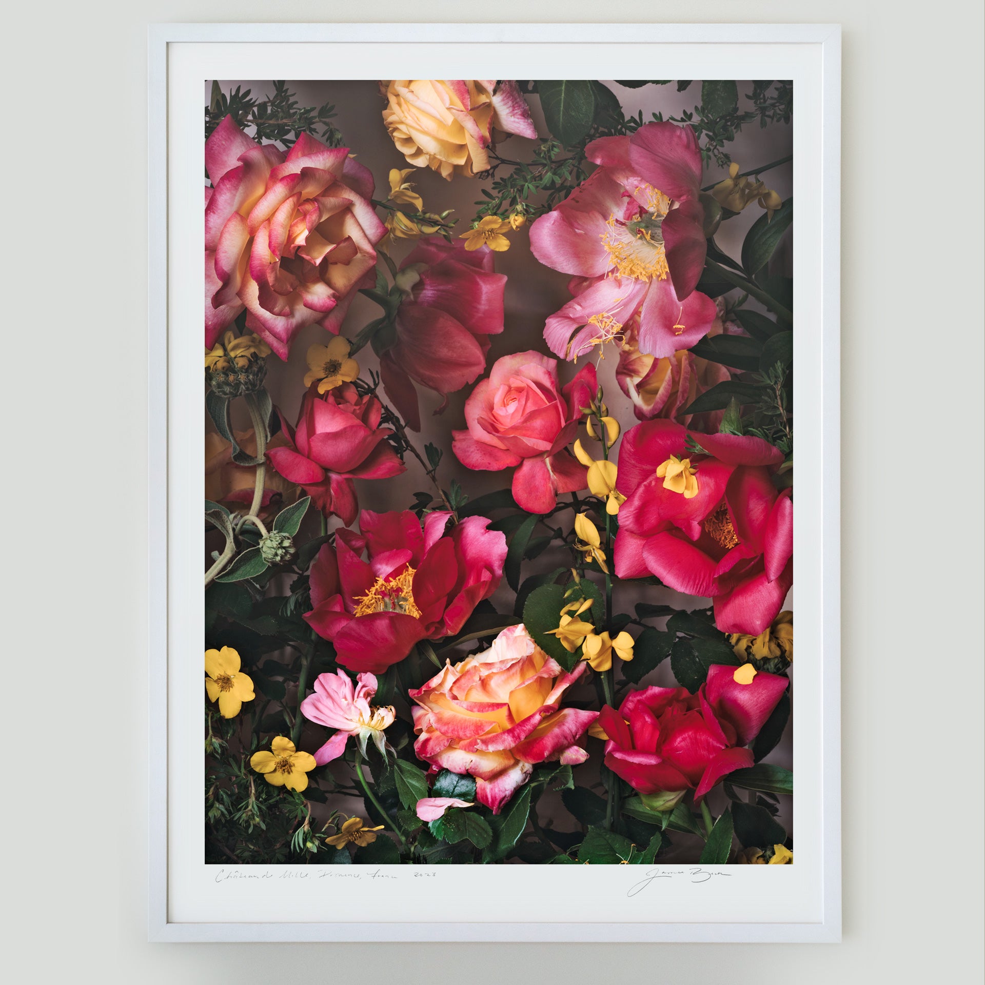 Electric Pink • 1 of 1 Framed Exhibition Piece