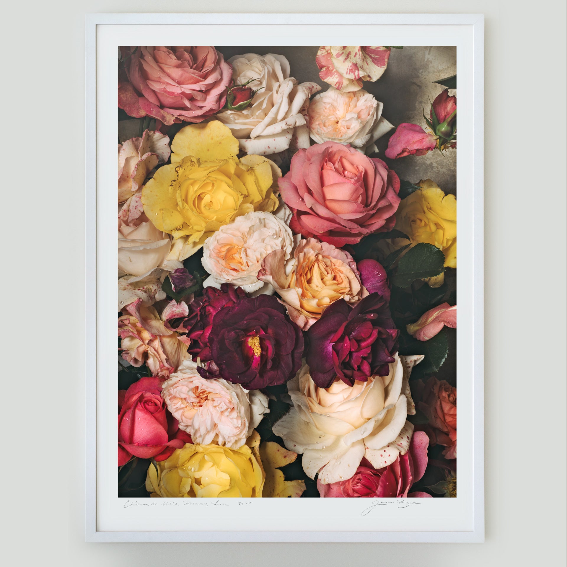 Floral Candy • 1 of 1 Framed Exhibition Piece