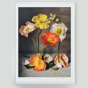 The Flowers of Provence Book Cover • 1 of 1 Framed Exhibition Piece