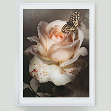  A Butterfly in Sweet Love • 1 of 1 Framed Exhibition Piece