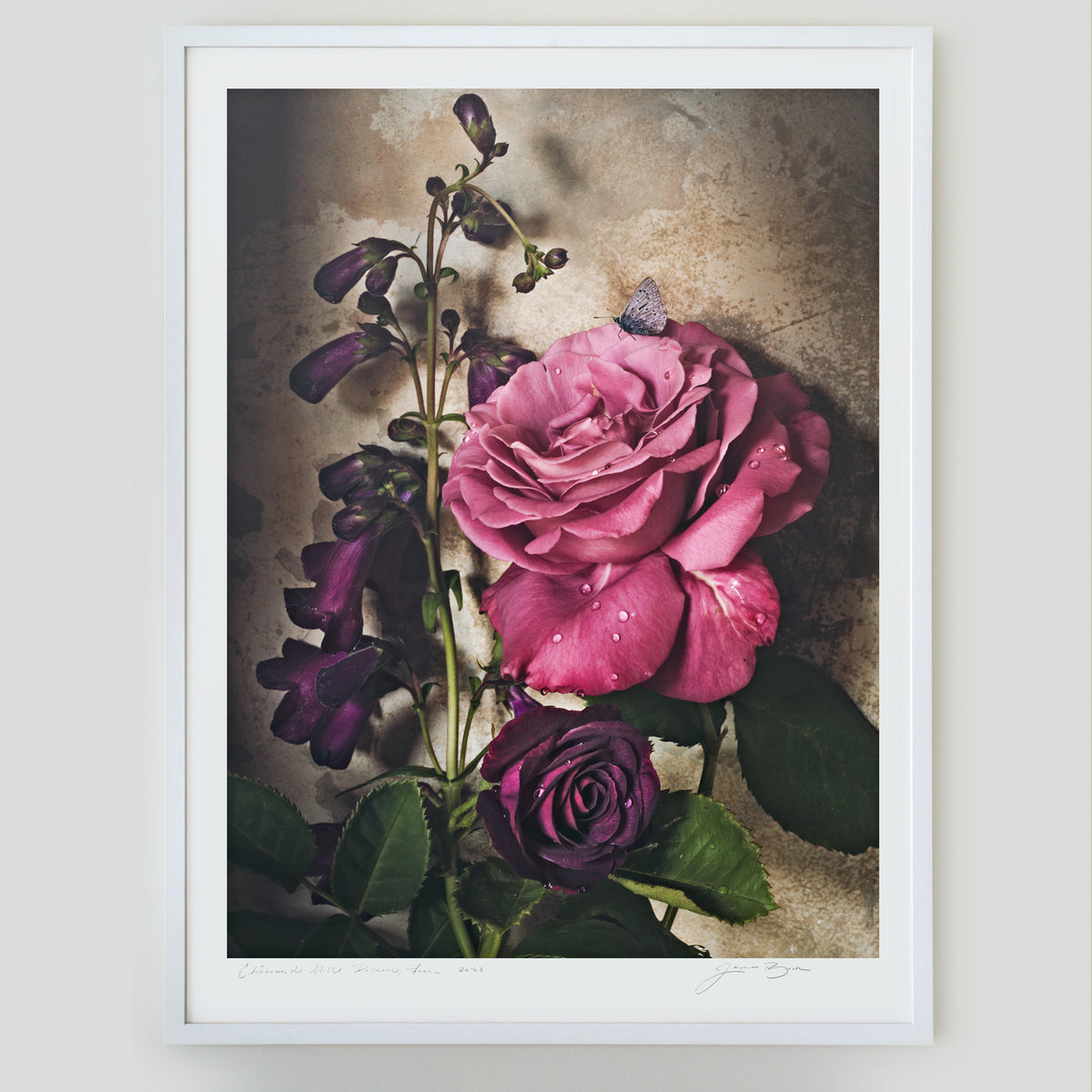 Purple in the Rain • 1 of 1 Framed Exhibition Piece