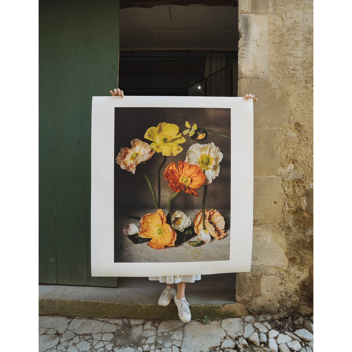The Flowers of Provence Book Cover • Fine Art Print