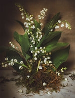 Load image into Gallery viewer, Lily of the Valley Poster
