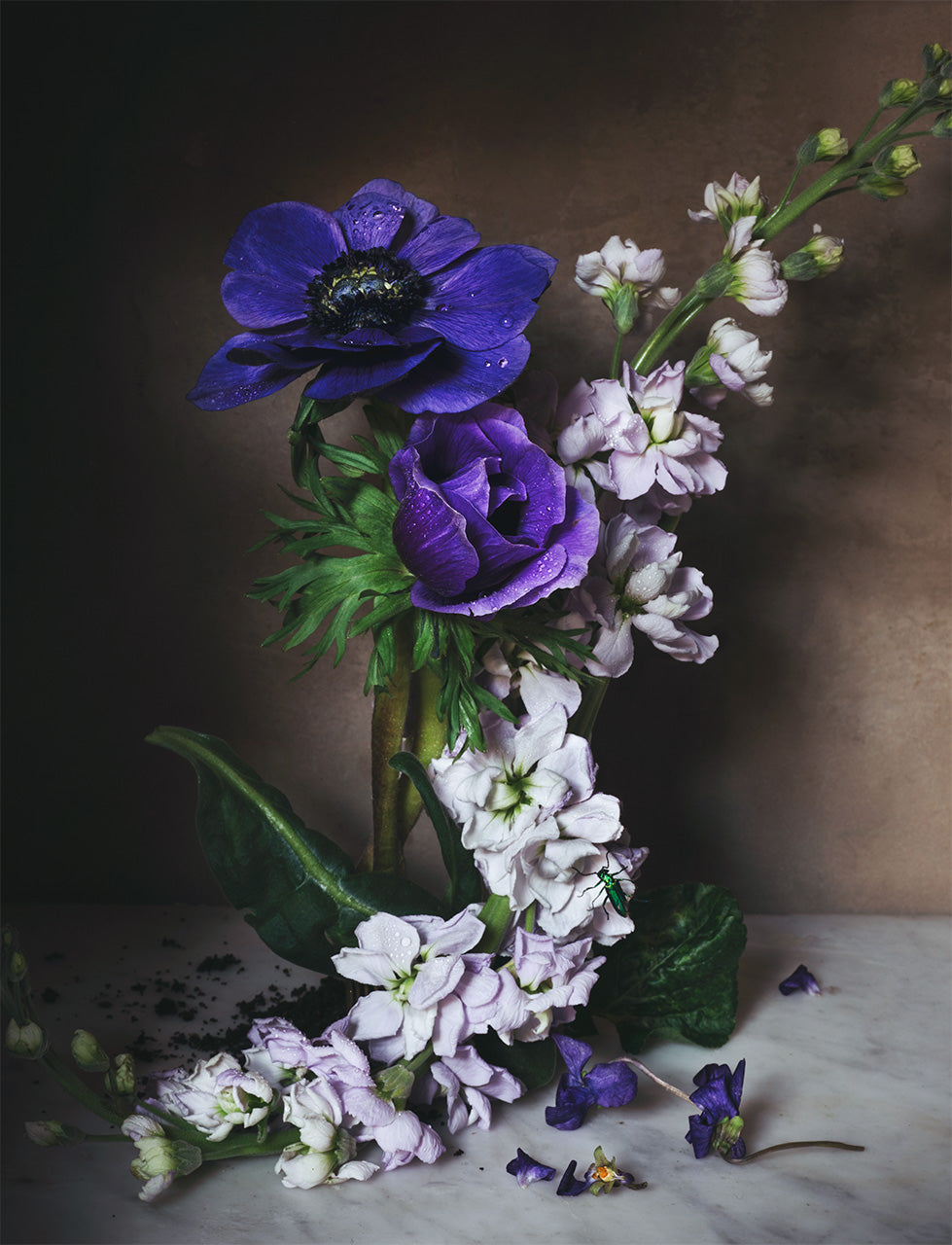 Still Life with Anemone Poster