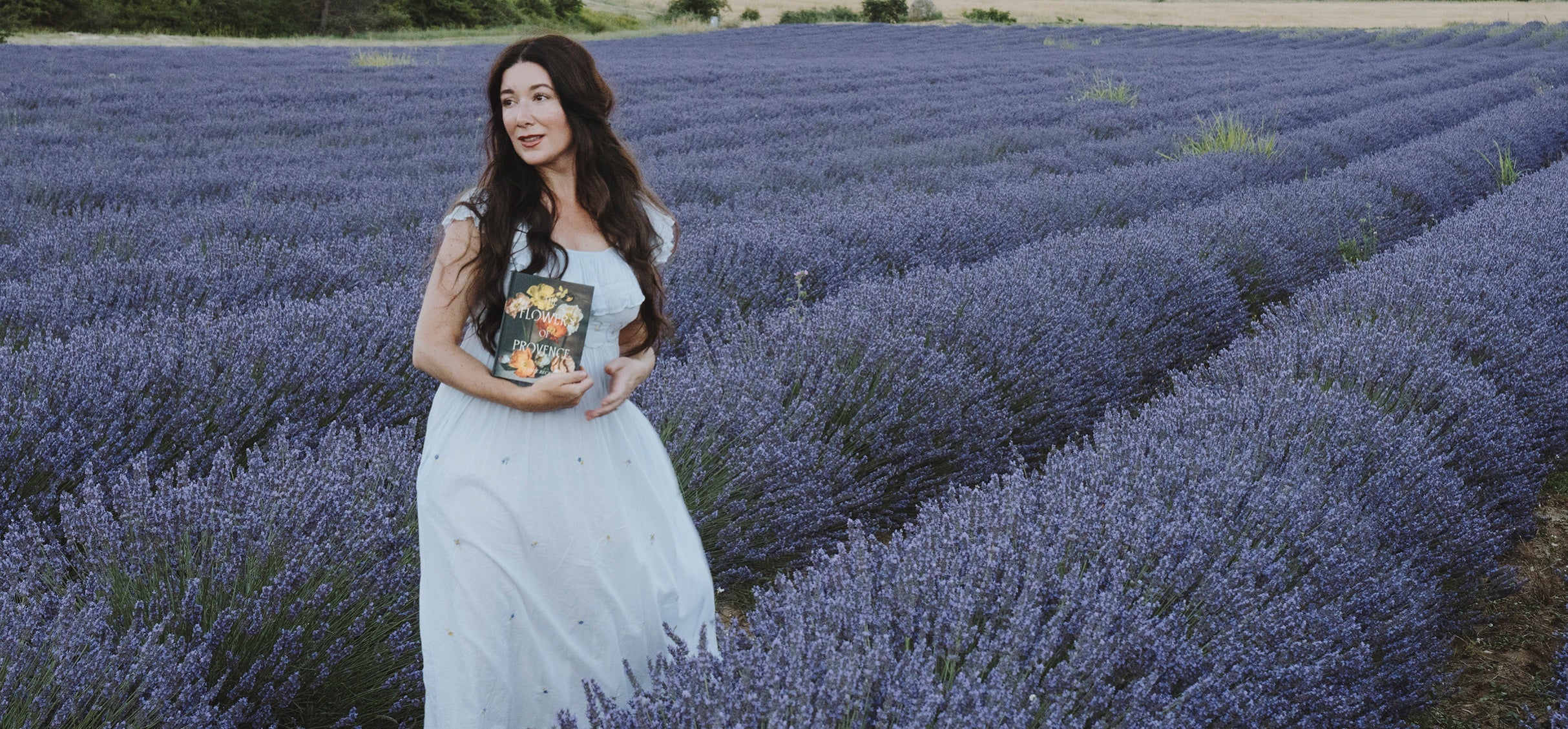 The Flowers of Provence