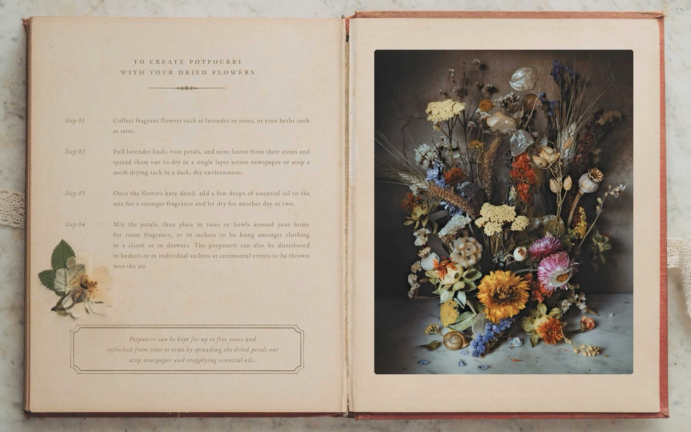 Book spread featuring floral still life and French typography