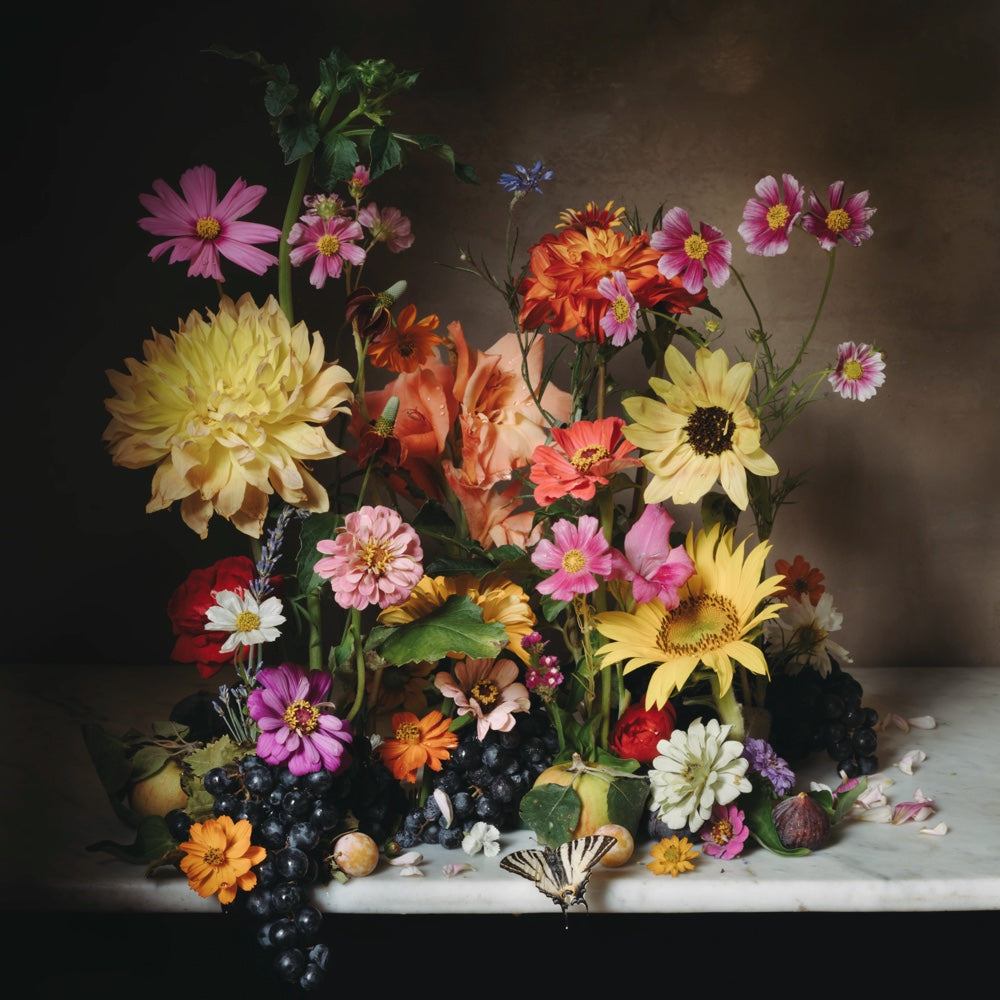 September Still Life Print